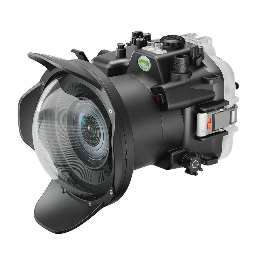 Seafrogs Canon Eos R6 MKII custodia policarbonato + dome per RF 24-105 F4 L