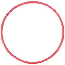 Olympus POL-EP14 O-Ring For PT-EP14 Underwater Housing