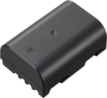 Panasonic Battery DMW-BLF19