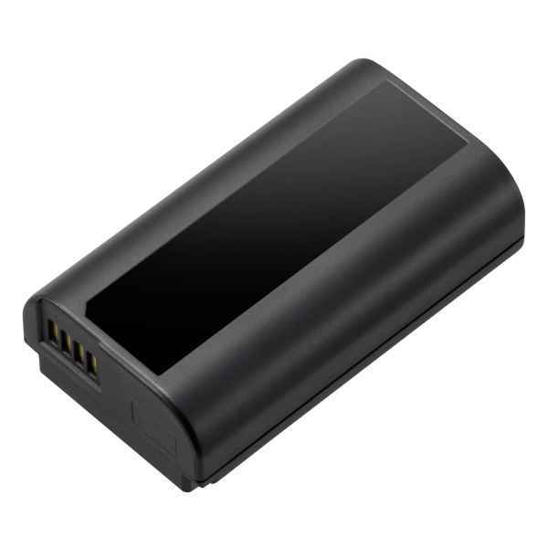 Panasonic DMW- BLJ31 Battery for Lumix S1 and S1R
