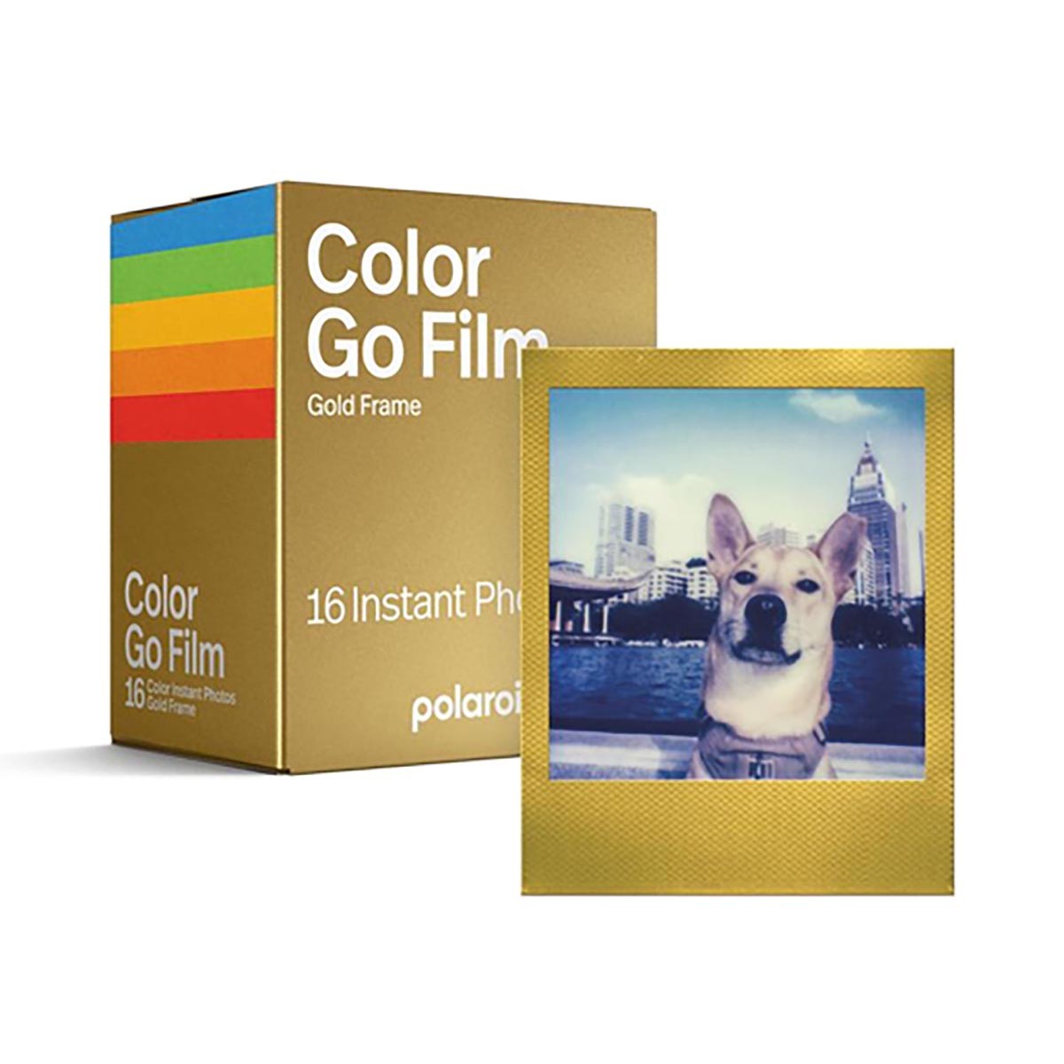 Polaroid GO Colour with Gold Frame Twin Pack