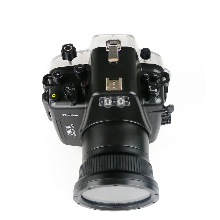 Seafrogs Nikon D800 custodia policarbonato + dome 6"