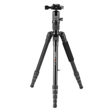 kingjoy cavalletto G22+G00 carbonio