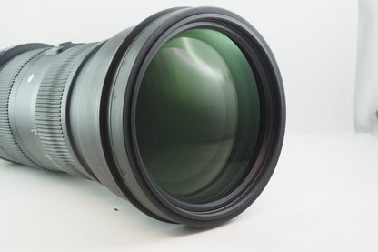 US. SIGMA OB. 150-600MM SPORT X NIKON