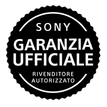 SONY RX1 RIII